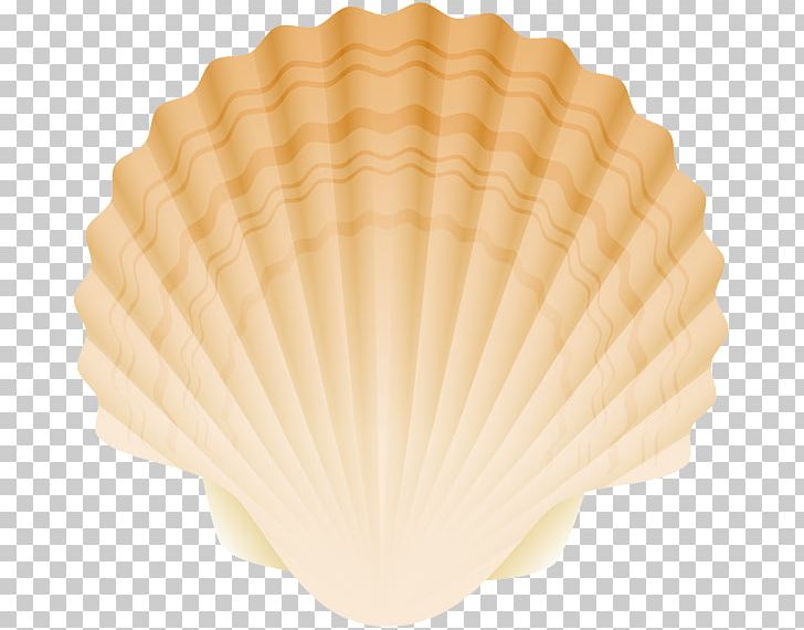 Cockle Conchology Fan PNG, Clipart, Clam, Clams Oysters Mussels And Scallops, Cockle, Conchology, Decorative Fan Free PNG Download