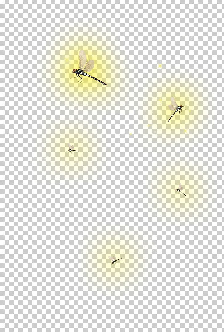 Fireflies PicsArt Photo Studio Insect Desktop PNG, Clipart, Author, Blik, Computer, Computer Wallpaper, Desktop Wallpaper Free PNG Download