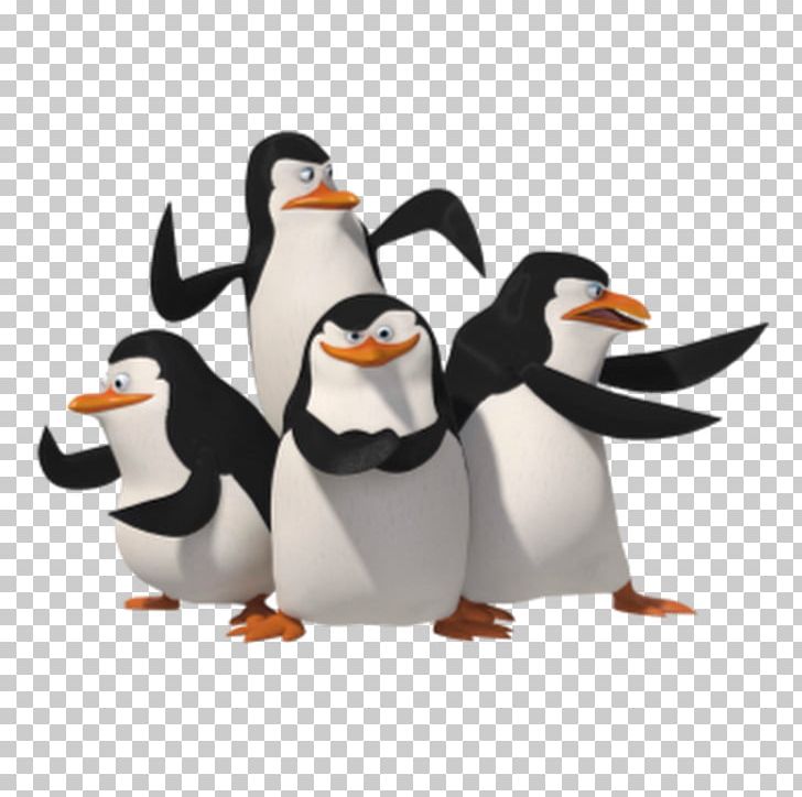 Penguin Skipper Madagascar PNG, Clipart, Animals, Animation, Beak, Bird, Clip Art Free PNG Download