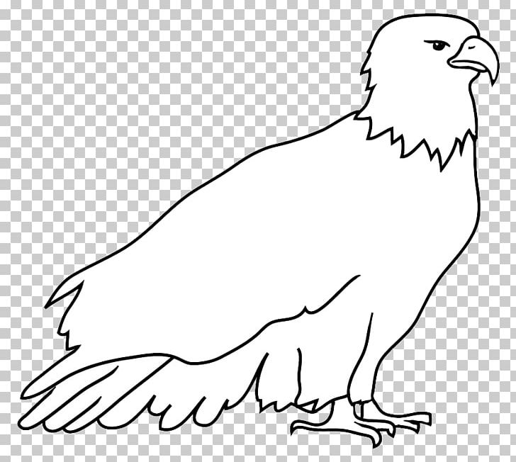 Bald Eagle Drawing Black And White PNG, Clipart, Animals, Area, Art, Bald Eagle, Bird Free PNG Download
