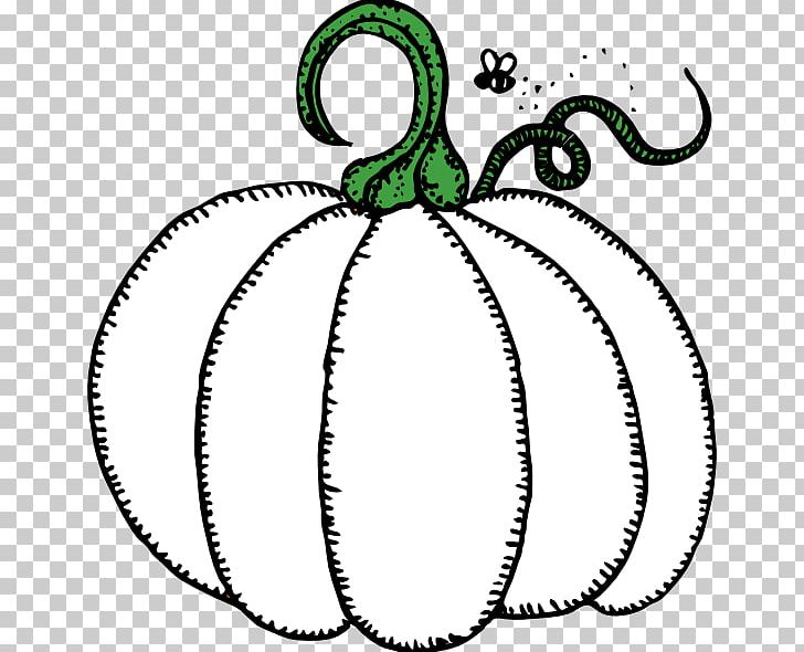 Pumpkin Zucchini Summer Squash Open PNG, Clipart, Artwork, Black And White, Body Jewelry, Butternut Squash, Circle Free PNG Download