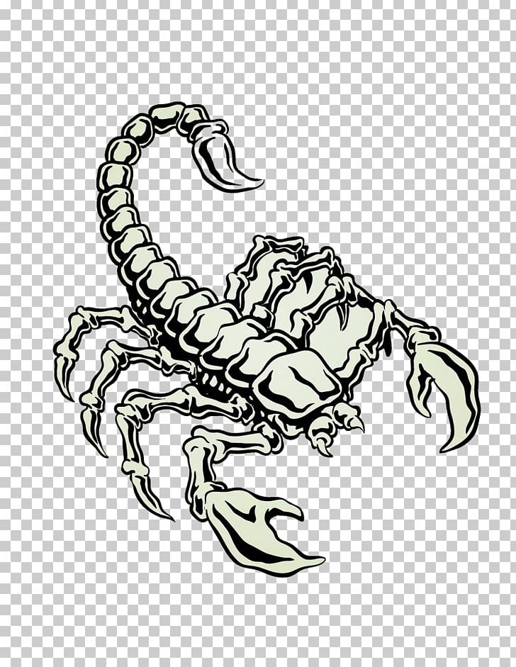 Scorpion Euclidean Stock Photography PNG, Clipart, Animals, Arthropod, Black And White, Design, Drawing Free PNG Download