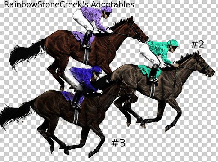 Stallion English Riding Mustang Rein Horse Racing PNG, Clipart, Anim, Bridle, English Riding, Equestrian, Equestrianism Free PNG Download