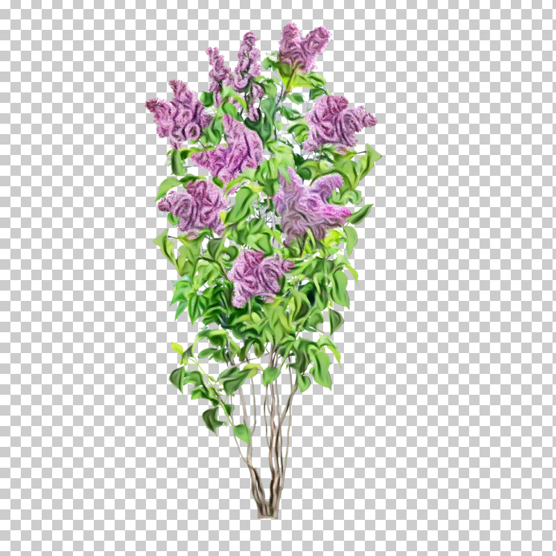 Lavender PNG, Clipart, Bouquet, Buddleia, Cut Flowers, Flower, Lavender Free PNG Download