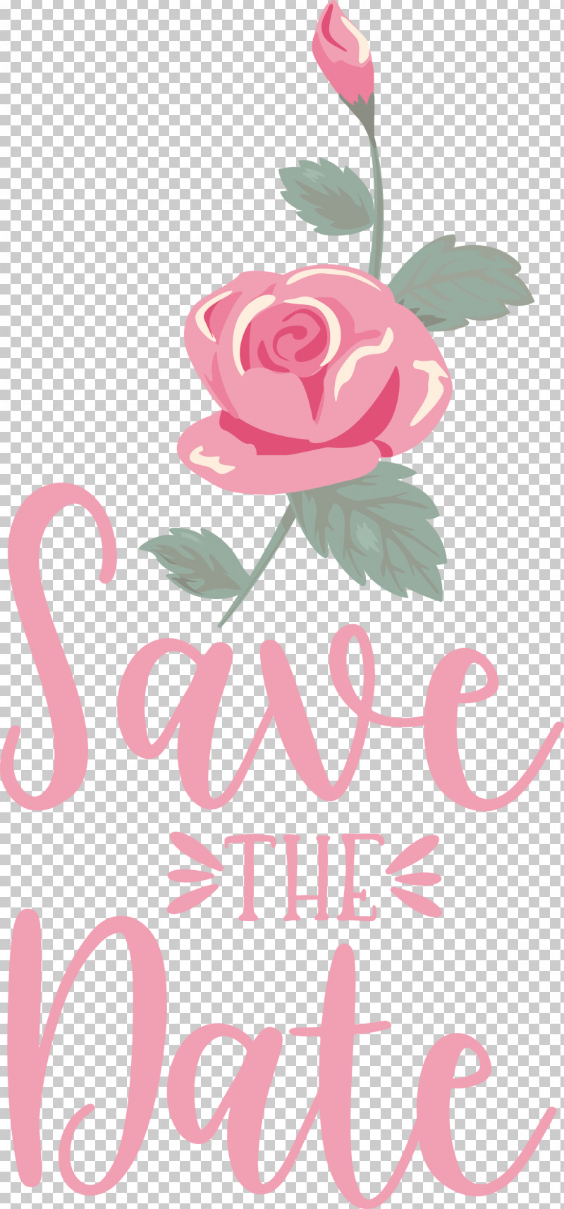 Save The Date Wedding PNG, Clipart, Cut Flowers, Floral Design, Flower, Garden, Garden Roses Free PNG Download