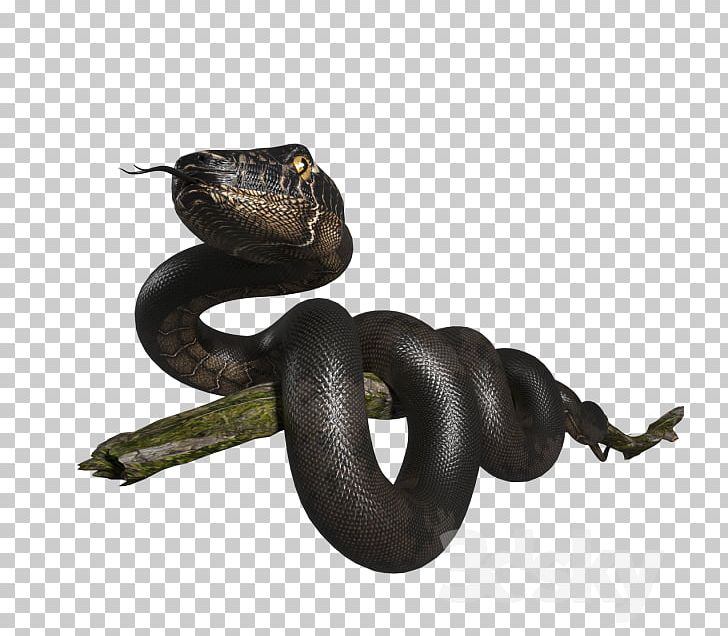 Boa Constrictor Snake 3D Modeling 3D Computer Graphics Blender PNG, Clipart, 3d Computer Graphics, 3d Modeling, Animals, Blender, Boa Constrictor Free PNG Download
