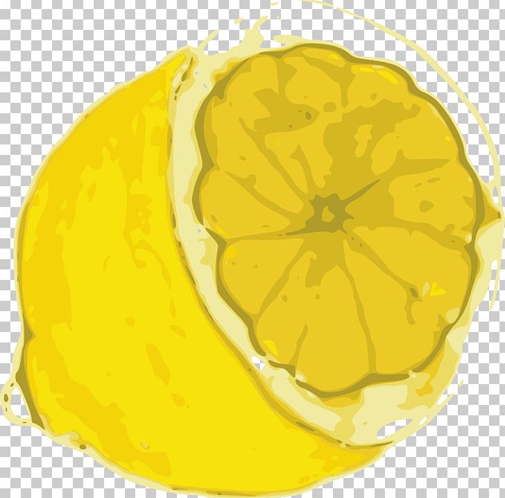 Lemon Line Art Citron PNG, Clipart, Animation, Calabaza, Cartoon, Citric Acid, Citron Free PNG Download