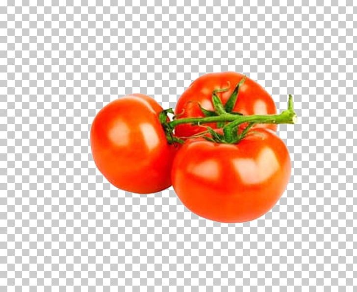 Vegetable Tomato PNG, Clipart, Bush Tomato, Die, Diet, Food, Free Logo Design Template Free PNG Download