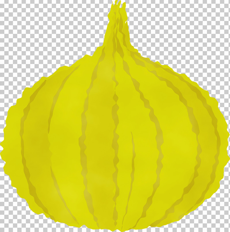 Squash Winter Squash Gourd Leaf Vegetable PNG, Clipart, Biology, Citron, Commodity, Fruit, Gourd Free PNG Download