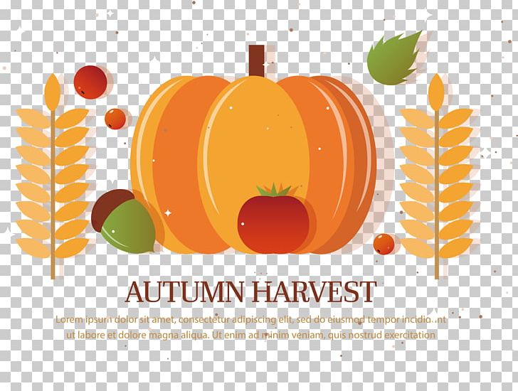 Autumn Harvest Thanksgiving PNG, Clipart, Ai Format, Diet Food, Download, Fall, Food Free PNG Download
