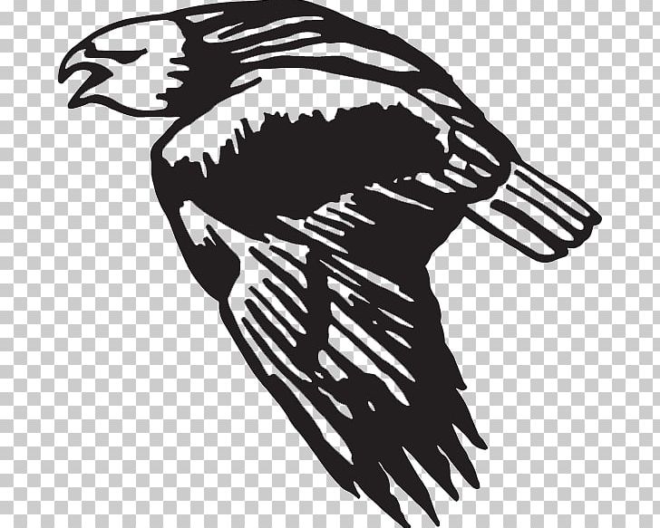 Decal Sticker Wing Bird Bald Eagle PNG, Clipart, Animals, Art, Artwork, Bald Eagle, Beak Free PNG Download