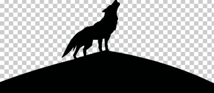 Gray Wolf Silhouette PNG, Clipart, Angry Wolf Face, Animals, Beak, Bird, Black Free PNG Download