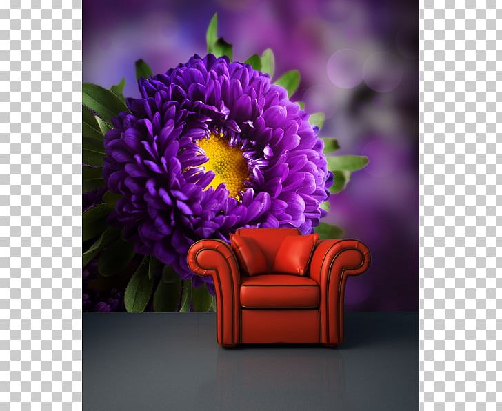 Desktop High-definition Television Purple Display Resolution PNG, Clipart, Computer Wallpaper, Dahlia, Daisy Family, Desktop Wallpaper, Flower Free PNG Download