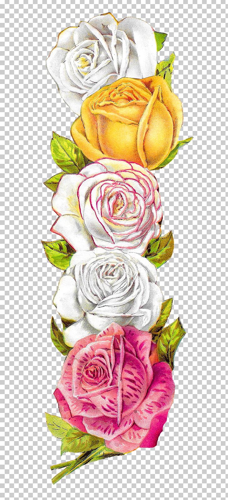 Garden Roses Cabbage Rose Floral Design PNG, Clipart, Cut Flowers, Desktop Wallpaper, Floral Design, Floristry, Flower Free PNG Download