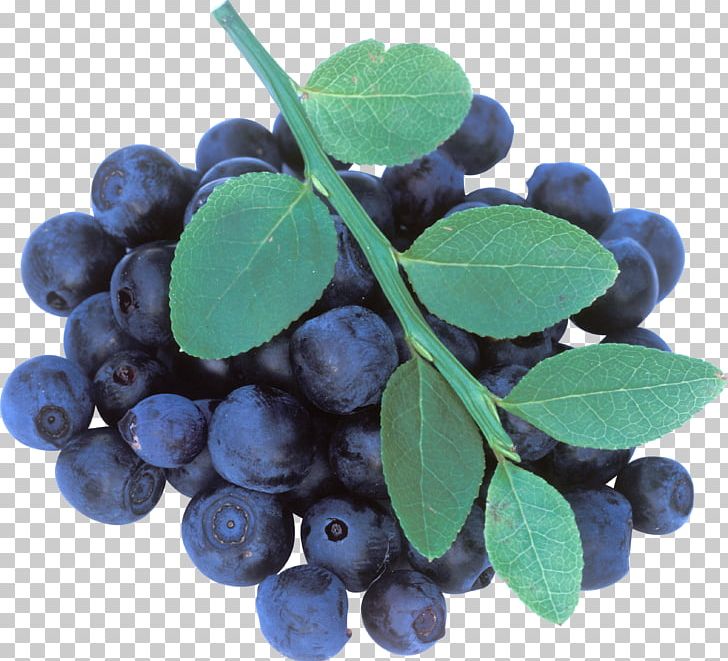 Blueberry Tea Maqui Bilberry PNG, Clipart, Auglis, Berry, Bilberry, Blackcurrant, Blue Free PNG Download