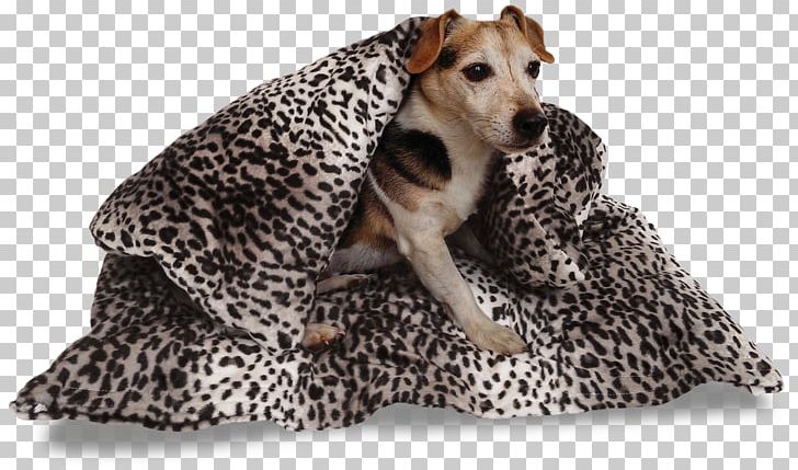Dog Breed Duvet Companion Dog Tog PNG, Clipart, Amazoncom, Animals, Bed, Breed, Companion Dog Free PNG Download