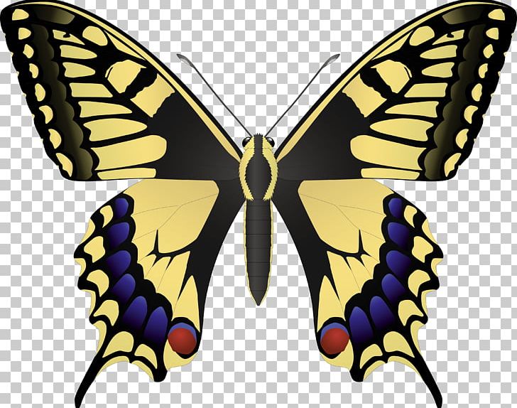 Monarch Butterfly Papilio Machaon Insect Swallowtail Butterfly PNG, Clipart, Animals, Arthropod, Brush Footed Butterfly, Butterflies And Moths, Butterfly Free PNG Download