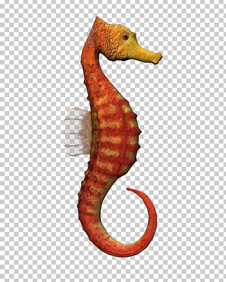 Seahorse PNG, Clipart, Animal, Animals, Aquatic Animal, Artist Trading Cards, Computer Icons Free PNG Download