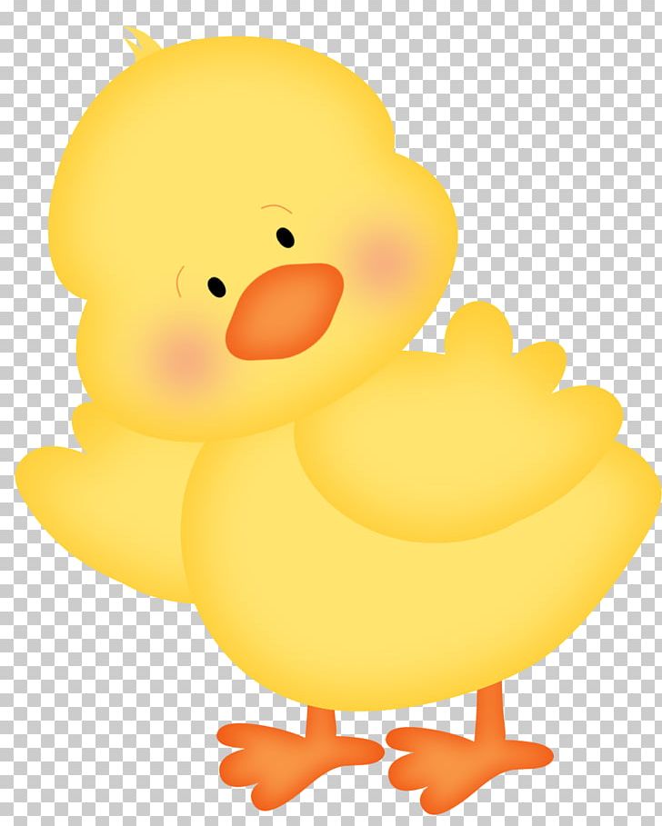Chicken Easter Duck PNG, Clipart, Animal, Animals, Beak, Bird, Cartoon Free PNG Download