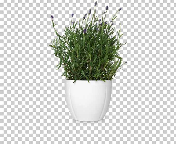 Flowerpot Cachepot Rosendahl Earthenware Vase PNG, Clipart, Bowl, Cachepot, Ceramic, Earthenware, Flowerpot Free PNG Download