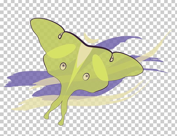 Marine Mammal Marine Biology Butterfly PNG, Clipart, Art, Biology, Butterflies And Moths, Butterfly, Cartoon Free PNG Download
