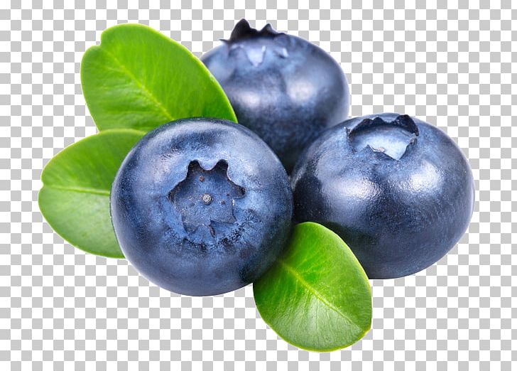 Smoothie Frutti Di Bosco Blueberry Vaccinium Angustifolium PNG, Clipart, Anthocyanin, Antioxidant, Berries, Berry, Bilberry Free PNG Download