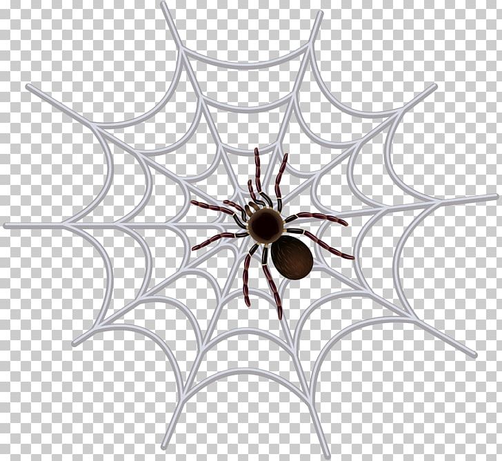 Spider Web PNG, Clipart, Animal, Arachnid, Arachnophobia, Arthropod, Blog Free PNG Download