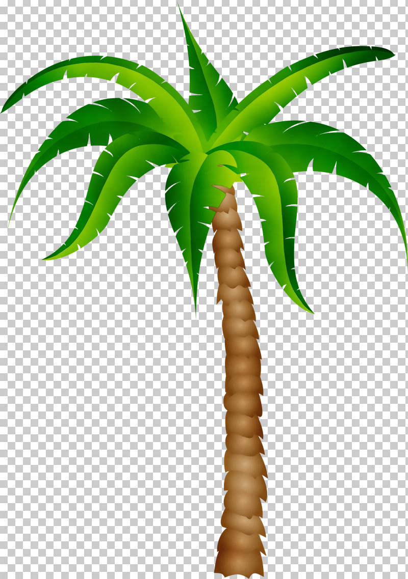 Palm Tree PNG, Clipart, Arecales, Flower, Houseplant, Leaf, Paint Free PNG Download