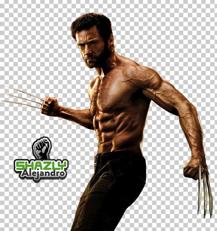 Wolverine Deadpool X-23 PNG, Clipart, Abdomen, Aggression, Arm, Bodybuilder, Bodybuilding Free PNG Download
