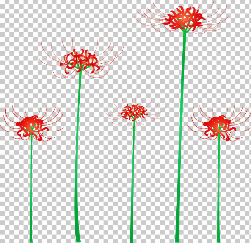 Hurricane Lily Flower PNG, Clipart, Cut Flowers, Flower, Gerbera, Hurricane Lily, Line Free PNG Download