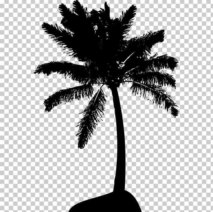 Arecaceae Tree PNG, Clipart, Arecaceae, Arecales, Areca Palm, Black And White, Borassus Flabellifer Free PNG Download