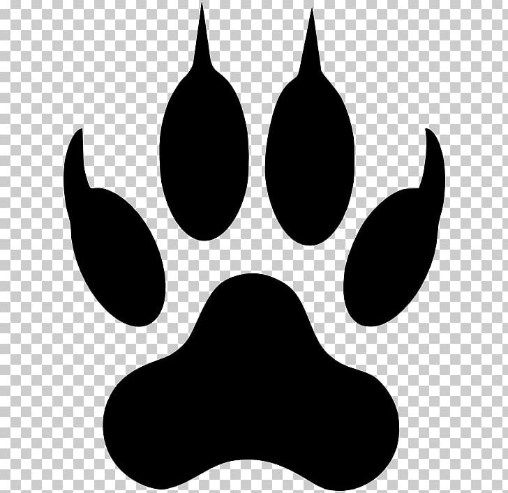 black and white pawed cat clipart