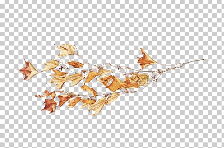 Flower Drawing PNG, Clipart, Autumn, Bow, Branch, Concepteur, Drawing Free PNG Download