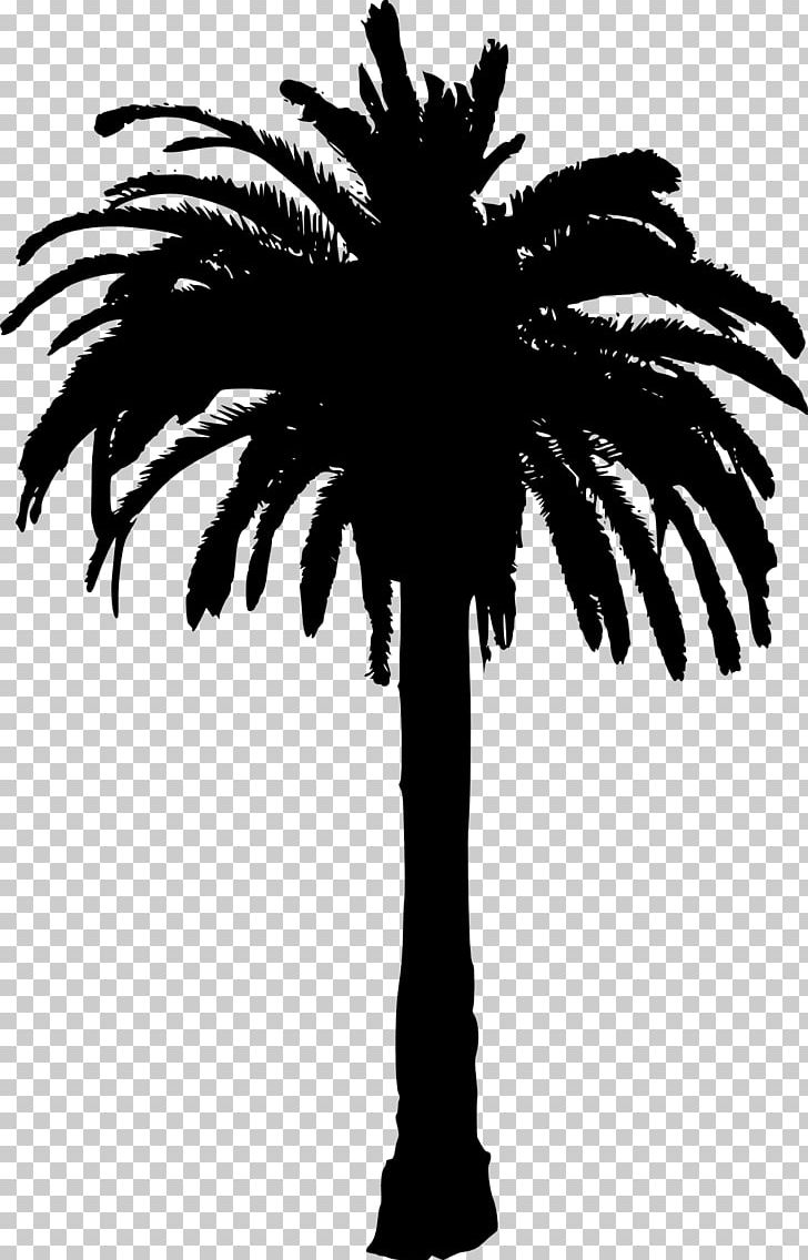 Arecaceae Silhouette Tree PNG, Clipart, Animals, Arecaceae, Arecales, Black And White, Borassus Flabellifer Free PNG Download