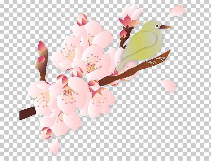 Cherry Blossom Quality Illustration PNG, Clipart, Balloon Cartoon, Bird, Blossom, Boy Cartoon, Branch Free PNG Download