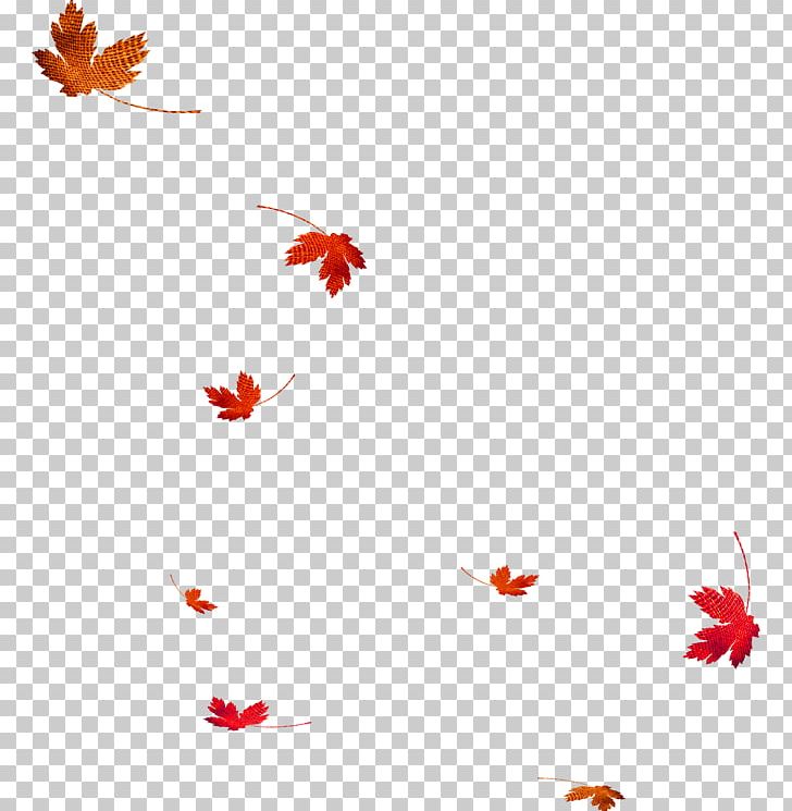 Leaf Autumn PNG, Clipart, Autumn Leaf Color, Brown, Deciduous, Flo, Floating Free PNG Download