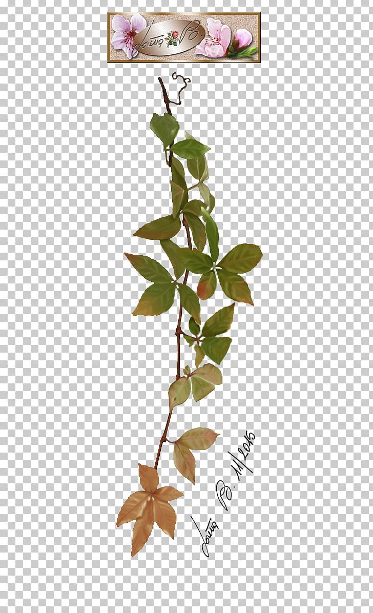 Twig Plant Stem Leaf Petal Font PNG, Clipart, Branch, Flora, Flower, Flowering Plant, Font Free PNG Download