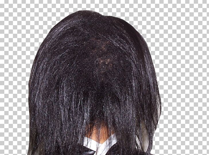 Wig Homo Sapiens PNG, Clipart, Black Hair, Brown Hair, Fur, Homo Sapiens, Human Free PNG Download