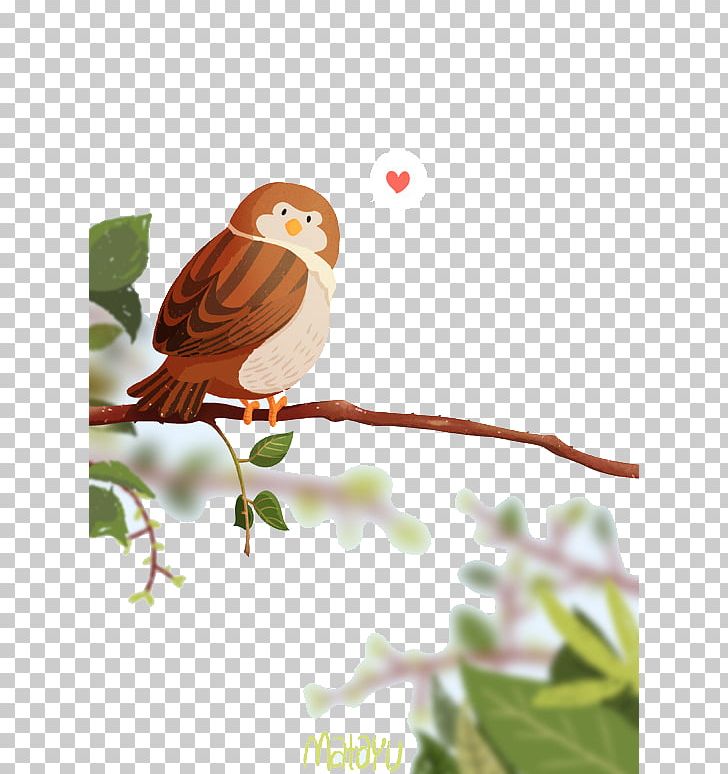 Cartoon Adobe Illustrator Illustration PNG, Clipart, Animals, Bird, Branch, Cartoon, Cartoon Animals Free PNG Download
