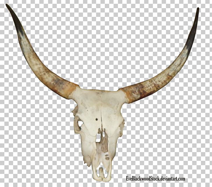 Cattle Eva's Revenge Digital Art PNG, Clipart,  Free PNG Download