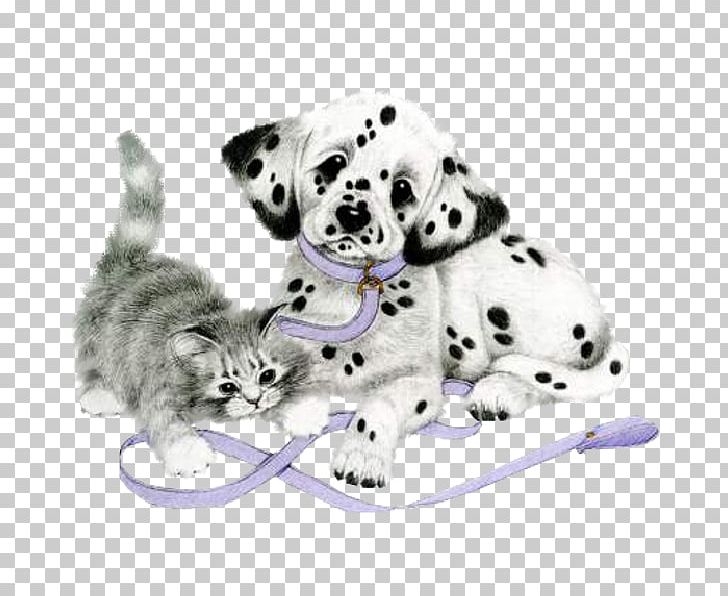 Dalmatian Dog Puppy Cat PNG, Clipart, Animal, Animals, Animation, Blog, Carnivoran Free PNG Download