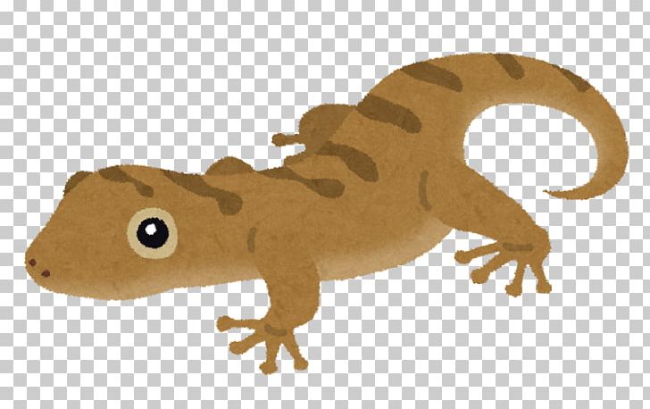 Lizard Schlegel's Japanese Gecko Japanese Fire Belly Newt Reptile Sauria PNG, Clipart,  Free PNG Download