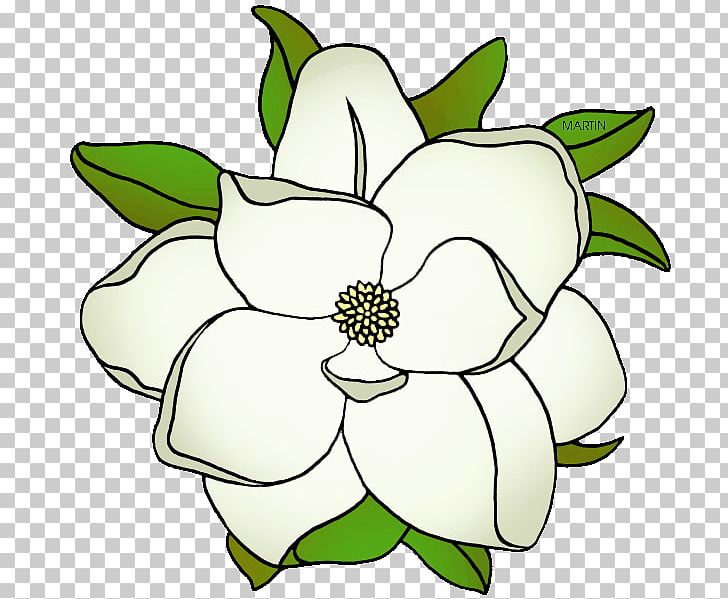 Southern Magnolia Mississippi Louisiana PNG, Clipart, Artwork, Blog, Cut Flowers, Flora, Floral Design Free PNG Download