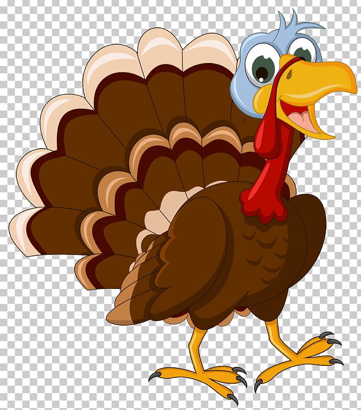 Turkey Cartoon PNG, Clipart, Beak, Bird, Cartoon, Chicken, Christmas Free PNG Download