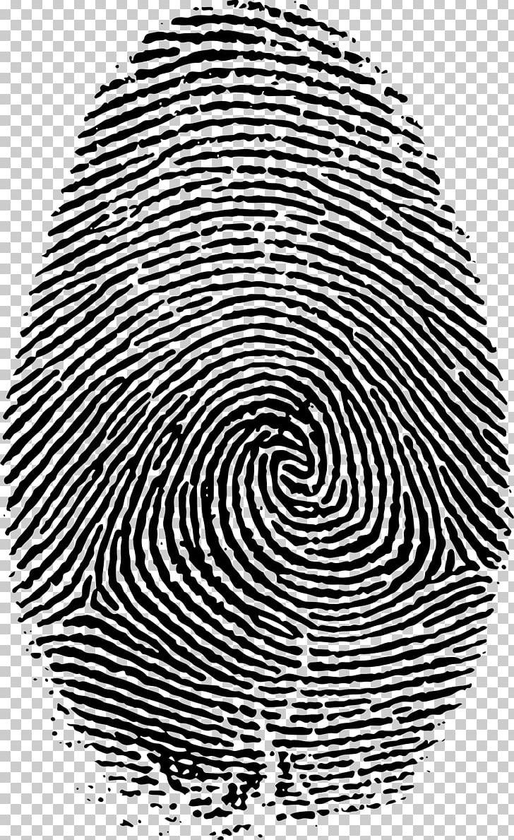 Fingerprint Live Scan PNG, Clipart, Black, Black And White, Circle, Computer Icons, Device Fingerprint Free PNG Download