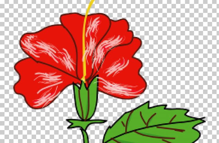 Hawaiian Hibiscus Graphics Drawing Illustration PNG, Clipart, Art, Artwork, Botany, Cut Flowers, Drawing Free PNG Download