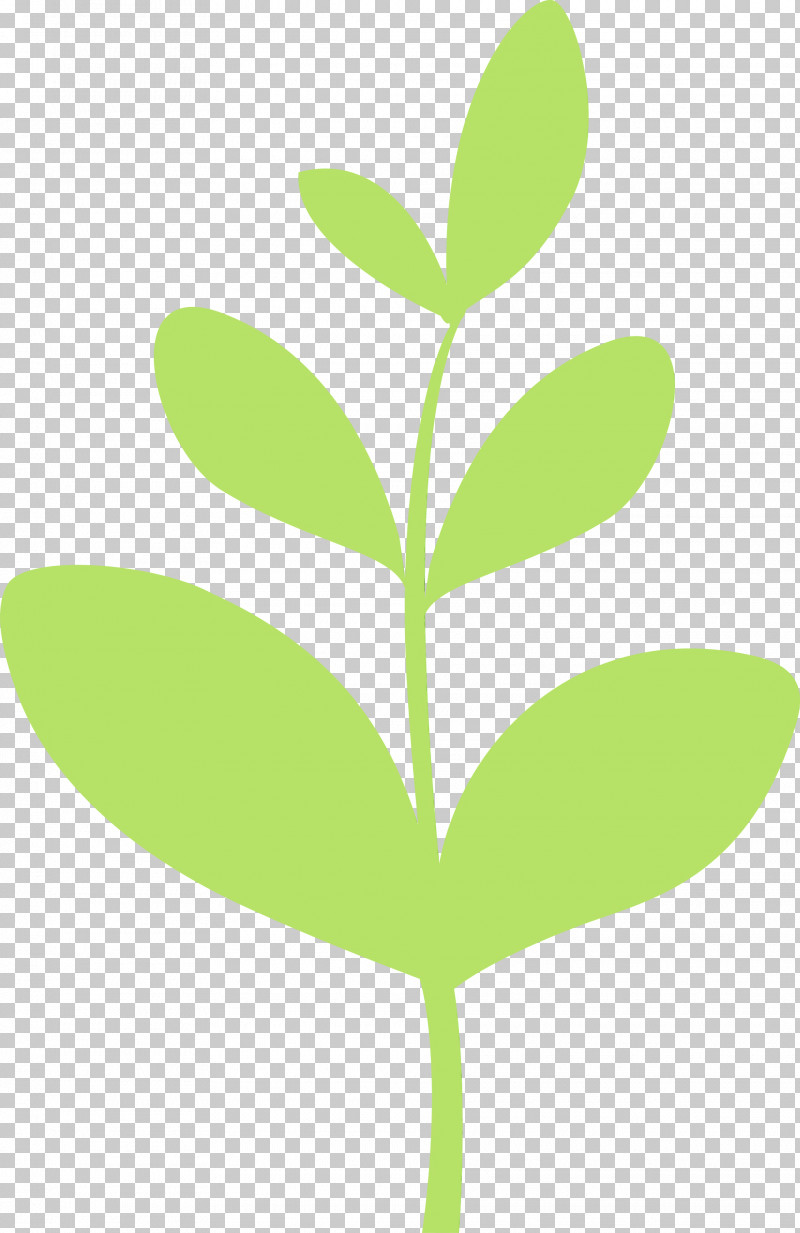 Leaf Green Plant Flower Tree PNG, Clipart, Bud, Flower, Flush, Green, Hypericum Free PNG Download