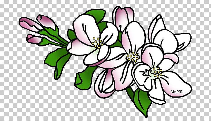 Arkansas Floral Design U.S. State Flower PNG, Clipart, Americas, Apple, Apple Blossom, Arkansas, Art Free PNG Download