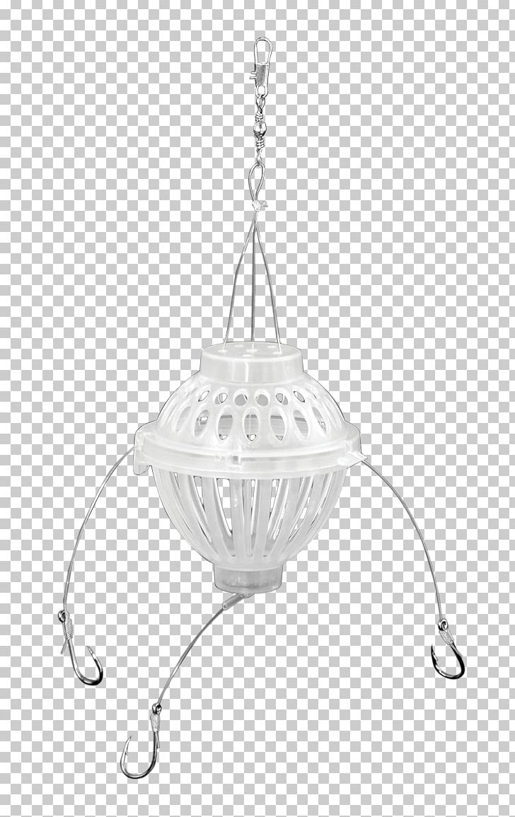 Bony Fishes Silver Carp Fishing Feeder PNG, Clipart, Bird Feeders, Bony Fishes, Carp, Ceiling Fixture, Common Carp Free PNG Download
