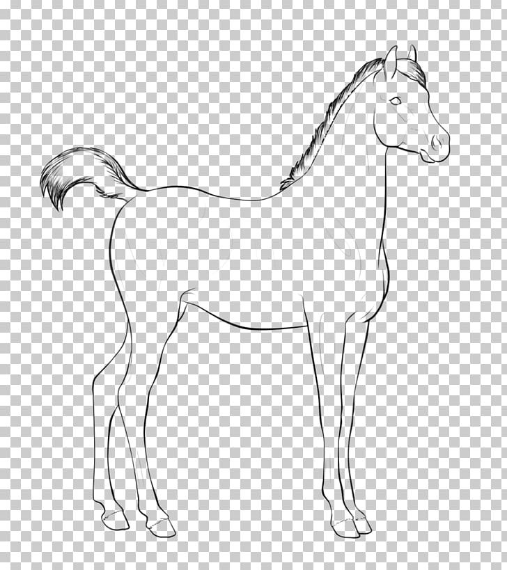 Bridle Foal Mane Mustang Colt PNG, Clipart, Animal, Artwork, Black And White, Bridle, Colt Free PNG Download